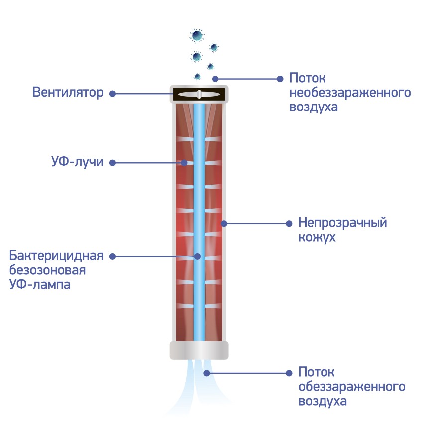 Дизайн