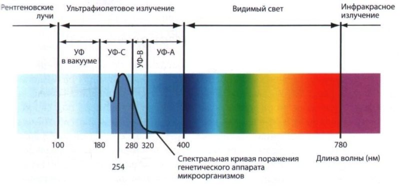 ултравиолетов спектър.