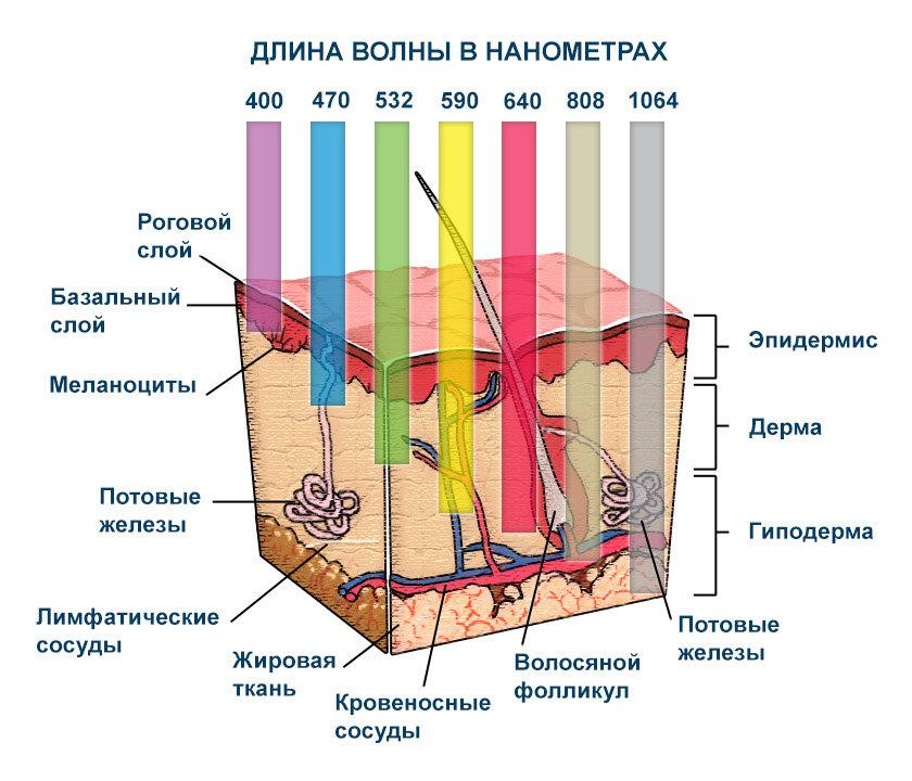 Характеристики на синята лампа за загряване