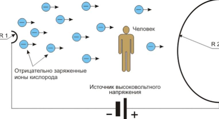 Ползите и вредите от полилея Чижевски