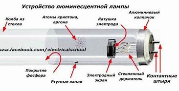 Описание на основните видове крушки