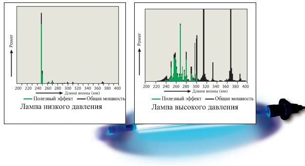 Описание на основните видове крушки