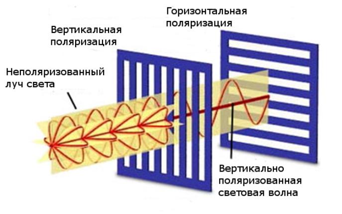 Какво е поляризация на светлината и нейното практическо приложение